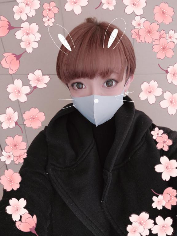 1枚目