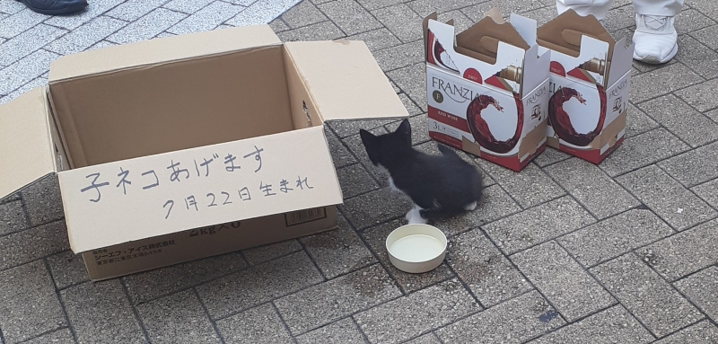 1枚目