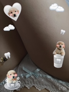 1枚目
