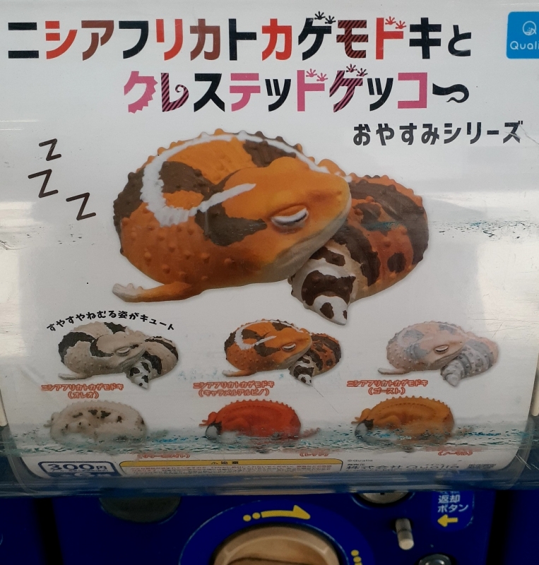 1枚目