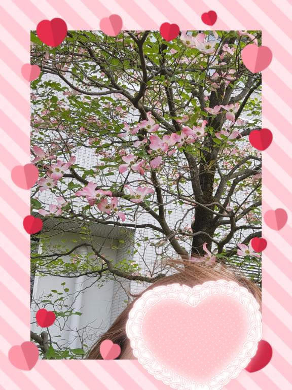 風の中〜?? ??