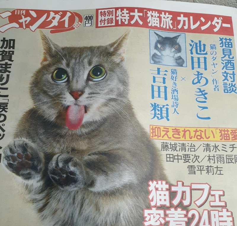 1枚目